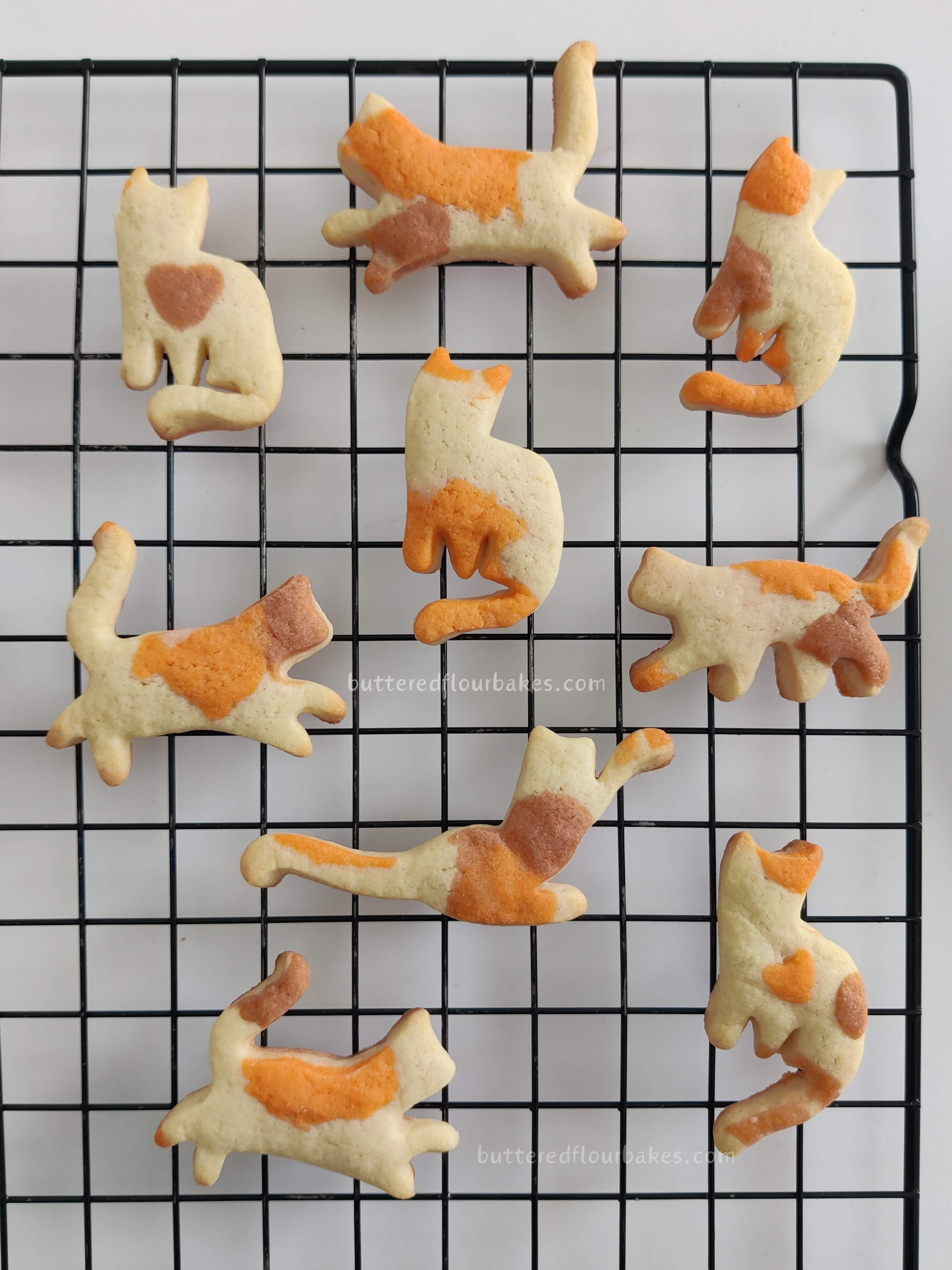 Calico Cat Cookies