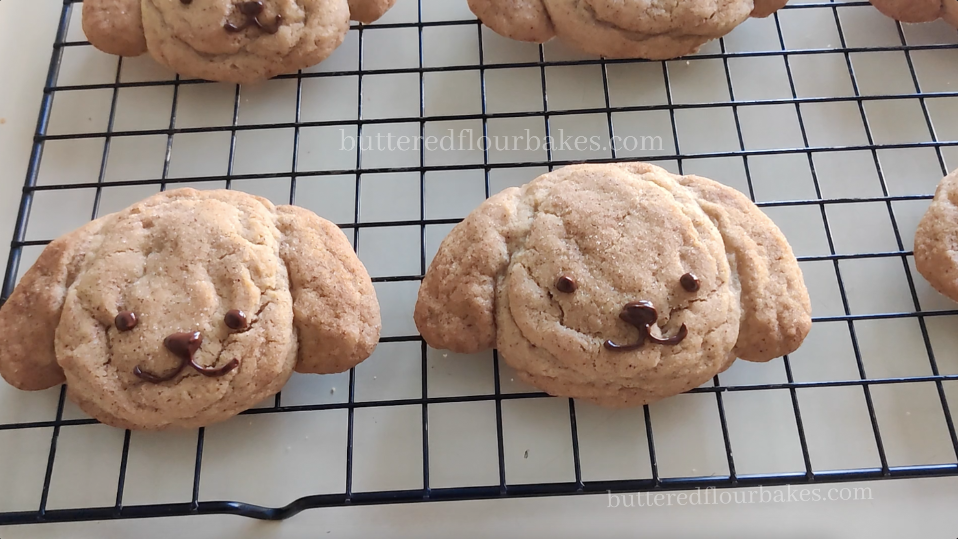 Snickerdoodle Cookies